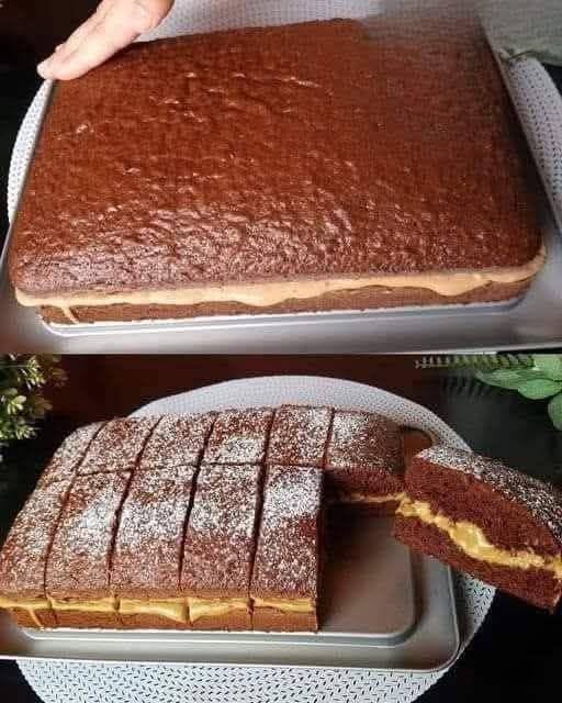 layered chocolate sponge cake