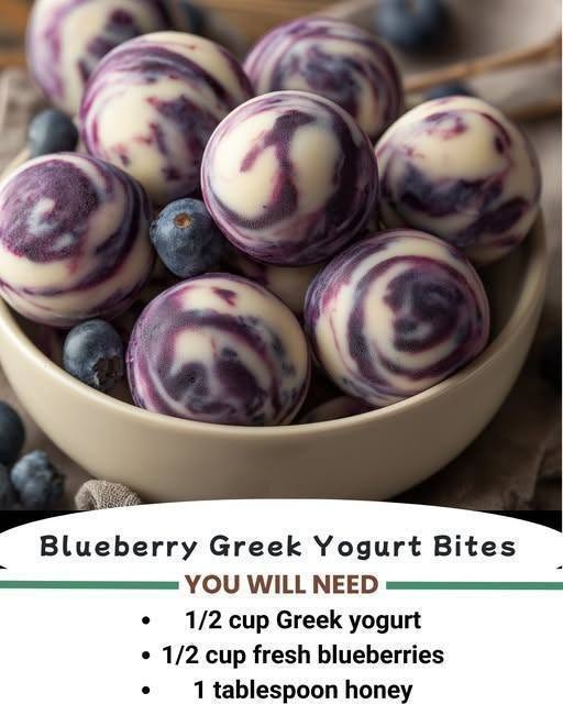 Blueberry Greek Yogurt Bites