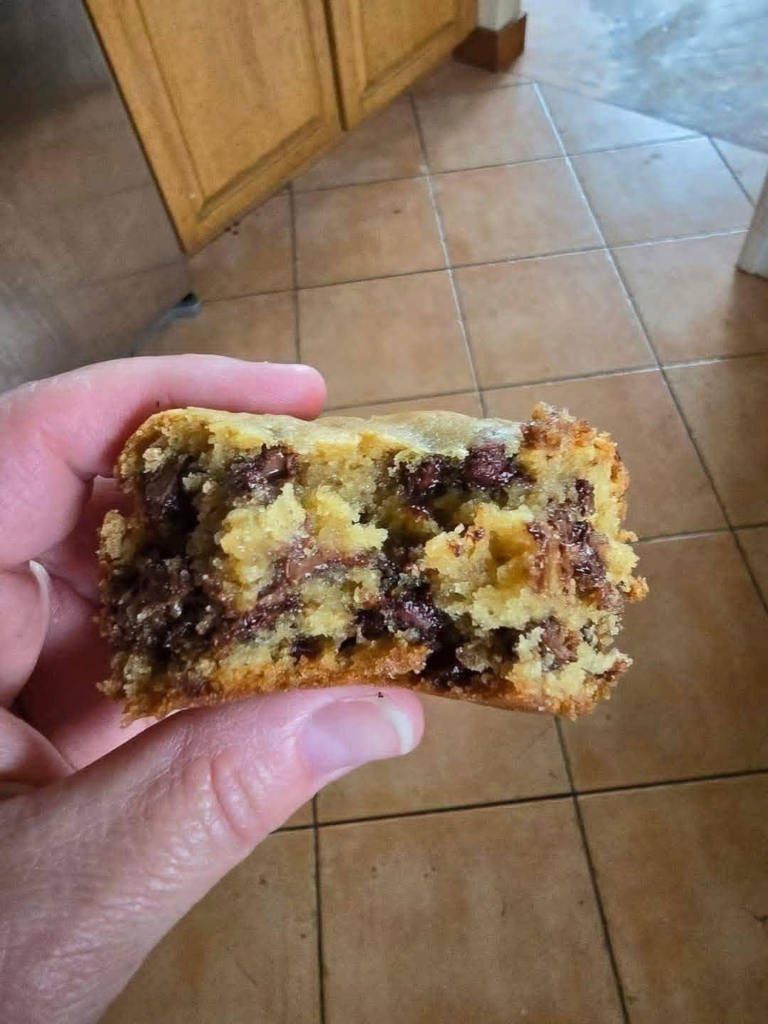 Sourdough Chocolate Chip Cookie