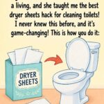 Surprising Dryer Sheet Hack for Easy Toilet Cleaning