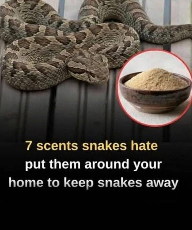 7 smells snakes hate and how to use them to keep these slithery visitors away from your home