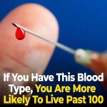 Studies Indicate That Individuals With This Blood Type Have a Higher Likelihood of Living to 100
