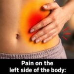 Pain on the Left Side of the Body: What Could It Mean and When Should You Pay Attention?