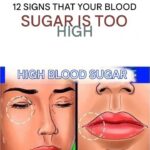 The High-Sugar Alert: Recognizing the 12 Key Symptoms Your Body is Showing You.