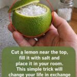 Cut a lemon in 4 put salt and place it in your room, THIS trick will change your life.