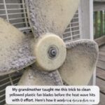 My Grandmother’s Simple Trick for Cleaning Yellowed Plastic Fan Blades Before the Heat Wave