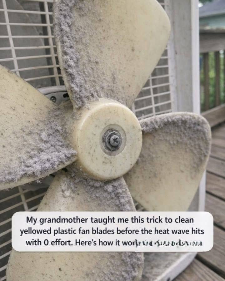 My Grandmother’s Simple Trick for Cleaning Yellowed Plastic Fan Blades Before the Heat Wave