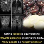 “Eating Just One Bite is Already Harmful, But Many Still Eat It Without Worry