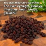 The plant that cures everything Liver, eyesight, kidneys, intestines, heart, bones.