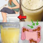 Wake Up Feeling Lighter: 7 Gentle Ways to Support Regular Bowel Movements