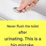 Why is it so important not to flush the toilet after every trip to the toilet to urinate?