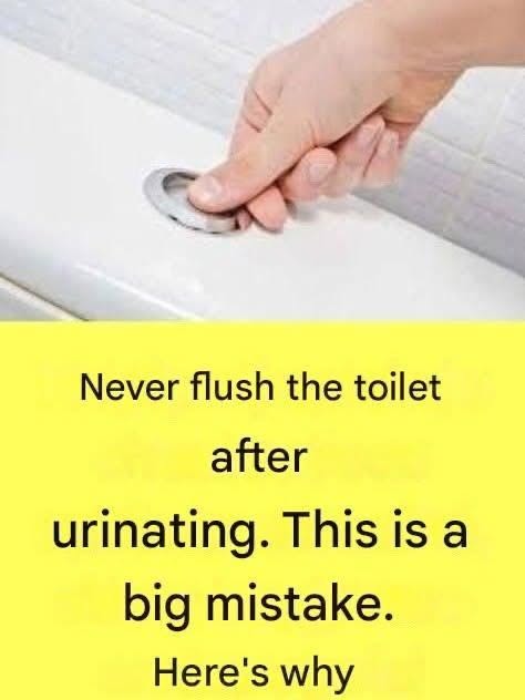 Why is it so important not to flush the toilet after every trip to the toilet to urinate?