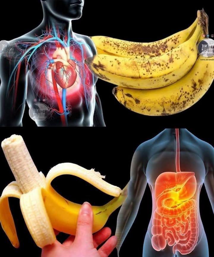 Did you know that eating bananas increases