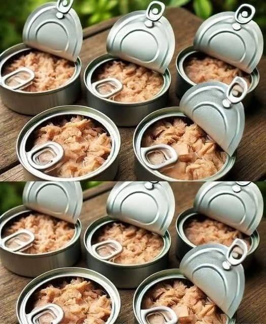 Don’t throw away tuna cans, they’re worth their weight in gold at home: here’s how to recycle them