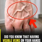 Did you know that having visible veins means you are