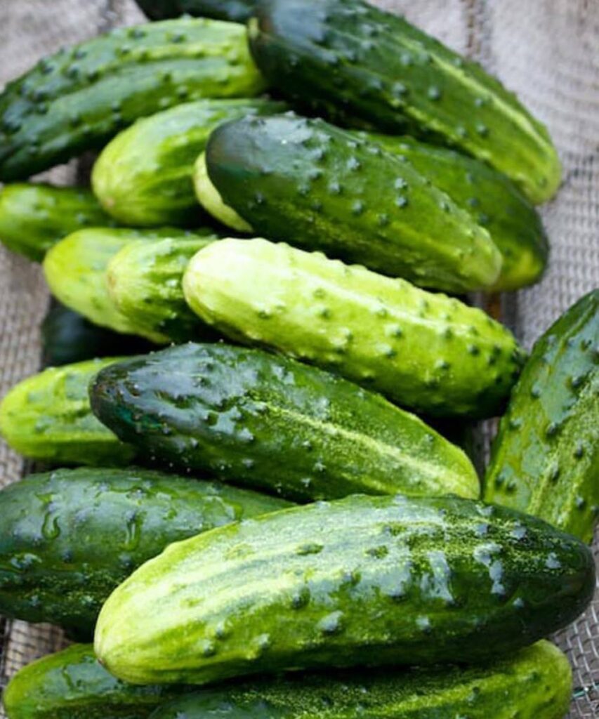 Doctors reveal that eating cucumber in salads causes… See more