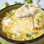 Green Enchilada Chicken Soup