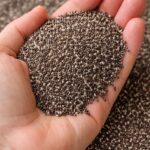 Doctors reveal eating chia seeds causes