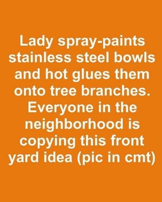 Lady spray-paints stainless steel bowls and hot glues them onto tree branches. Everyone in the neighborhood is copying this front yard idea