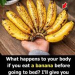 Eating Bananas Before Bed: A Smart Habit or a Hidden Sleep Disruptor?