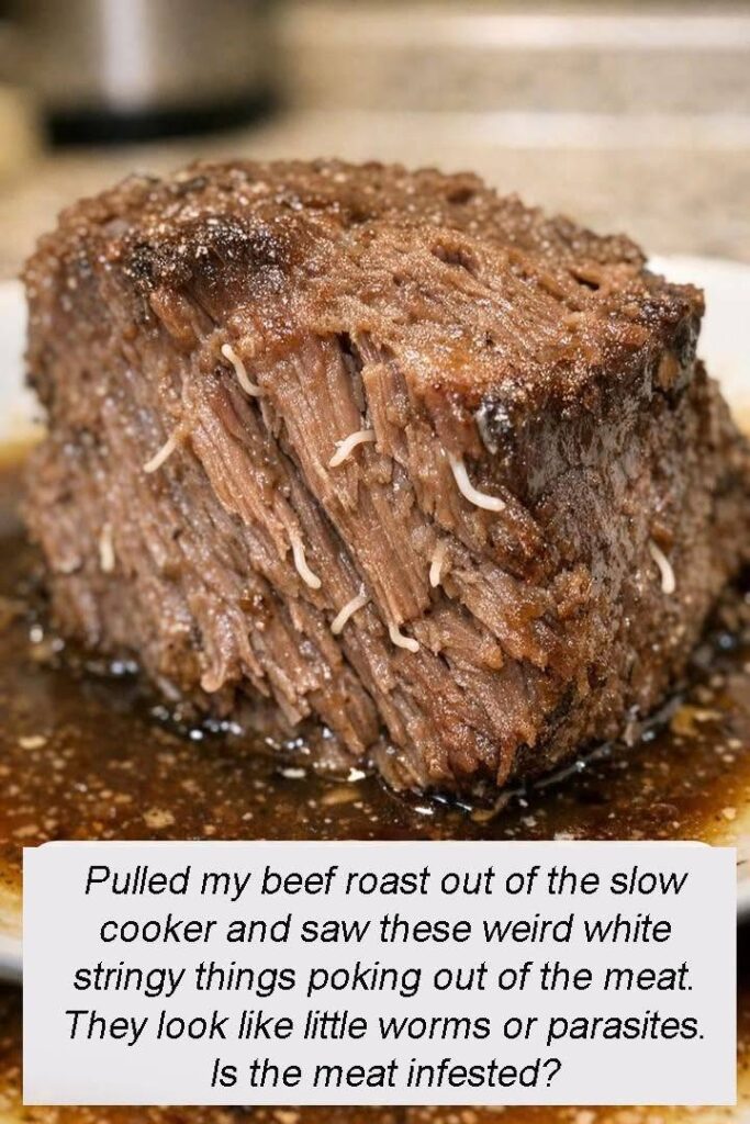 Pulled my beef roast out of the slow cooker and saw these weird white stringy things poking out of the meat. They look like little worms or parasites. Is the meat infested?