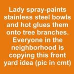 Everyone in the neighborhood is copying this front yard idea