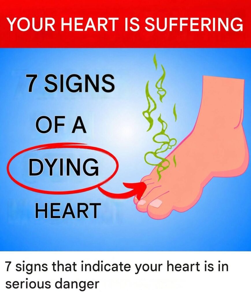 7 signs that indicate your heart is in serious danger