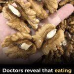 What Happens When You Eat Walnuts Every Day