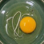 That White Ribbon in Your Egg Is Usually Completely Normal