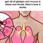 My nana swore by this 1 hack to get rid of phelgm and mucus in chest and throat. Here’s how it works