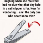 Why Your Nail Clipper Has That Small Round Hole and Why It Still Matters Today