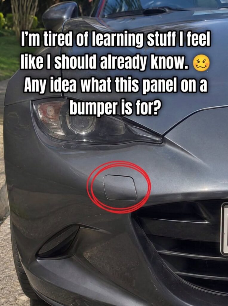 Small Panel on Bumper: Why It’s There