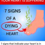 7 signs that indicate your heart is in serious danger