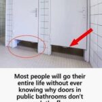 How to Understand Why Public Bathroom Doors Do Not Reach the Floor