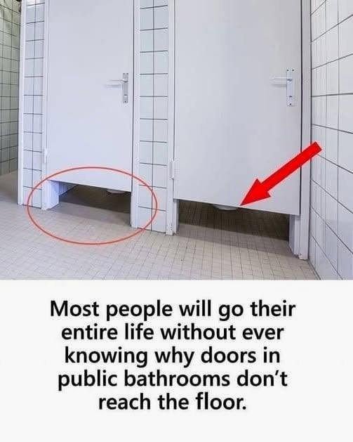 How to Understand Why Public Bathroom Doors Do Not Reach the Floor