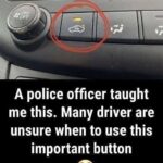 What the Air Recirculation Button Means for Your Driving Experience