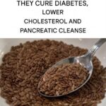 THE SEEDS THAT THEY CURE DIABETES, LOWER CHOLESTEROL AND PANCREATIC CLEANSE
