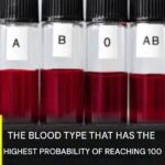 People with this blood type are more likely to live to 100 years old…