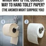 Which Way Is the Correct Way to Hang Toilet Paper? (The Answer Might Surprise You)