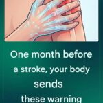 One month before a stroke, your body sends you these warning signals.