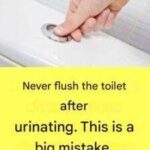 Why Is It Extremely Important Not to Flush the Toilet After Every Urination?