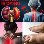 23 Weird Signs of Kidney Disease Most People Will Miss!