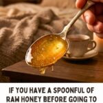 Taking A Spoonful Of Honey Before Sleeping: How Does It Work?