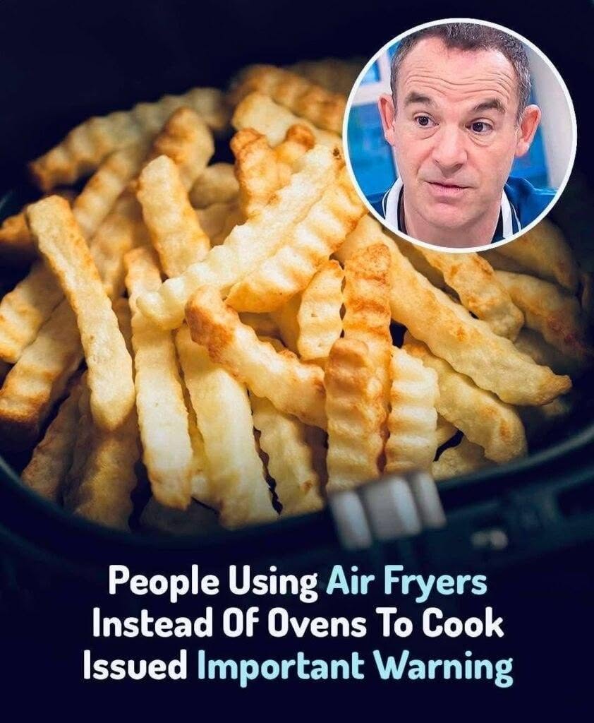 Experts Caution Against Using Air Fryers Instead of Ovens: 7 Tips You Should Know