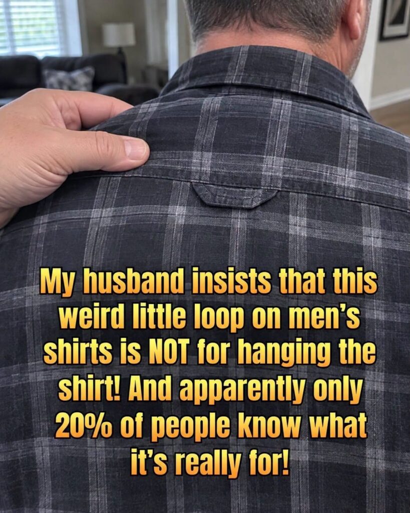 The Little Loop on the Back of Your Shirt