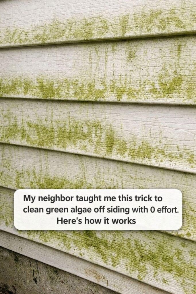 My neighbor taught me this trick to clean green algae off siding with 0 effort. Here’s how it works