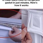 My Nana Taught Me This Trick to Clean Black Mold on Refrigerator Gaskets in Just Minutes