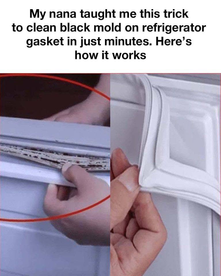 My Nana Taught Me This Trick to Clean Black Mold on Refrigerator Gaskets in Just Minutes