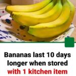 Bananas Last 10 Days Longer When Stored with One Kitchen Item Instead of in a Fruit Bowl