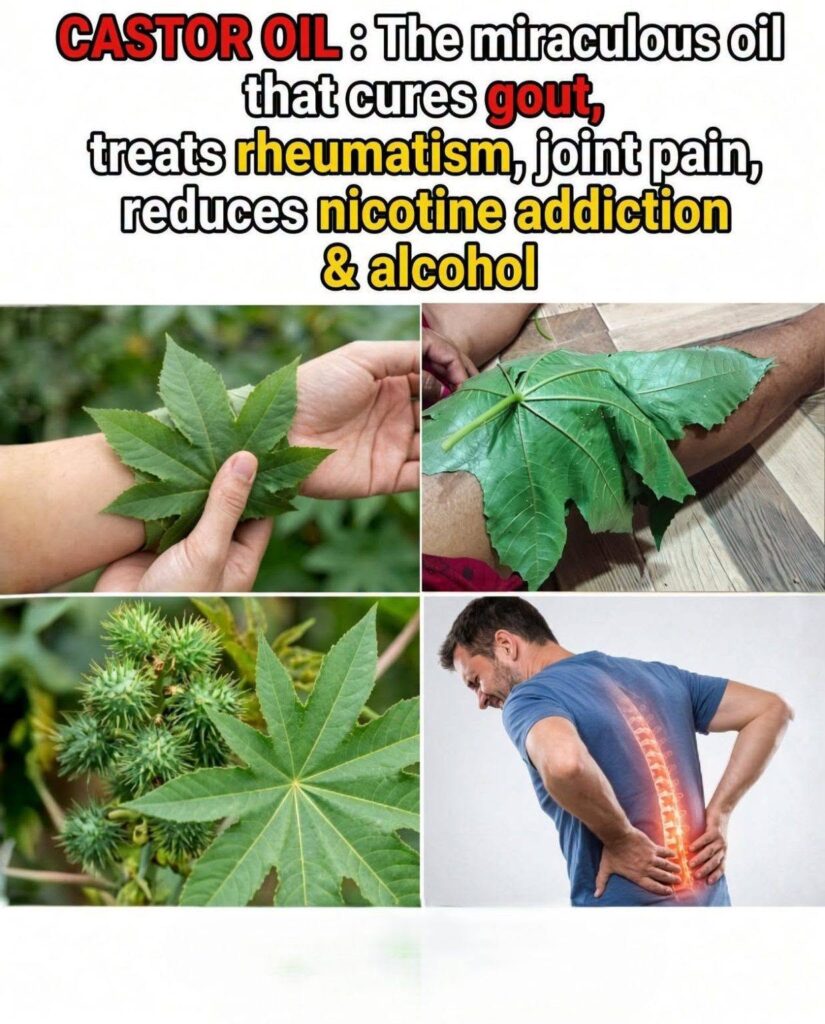At the age of 60, I recovered from cancer, high blood pressure, diabetes, and poor blood circulation simply by drinking this potent beverage